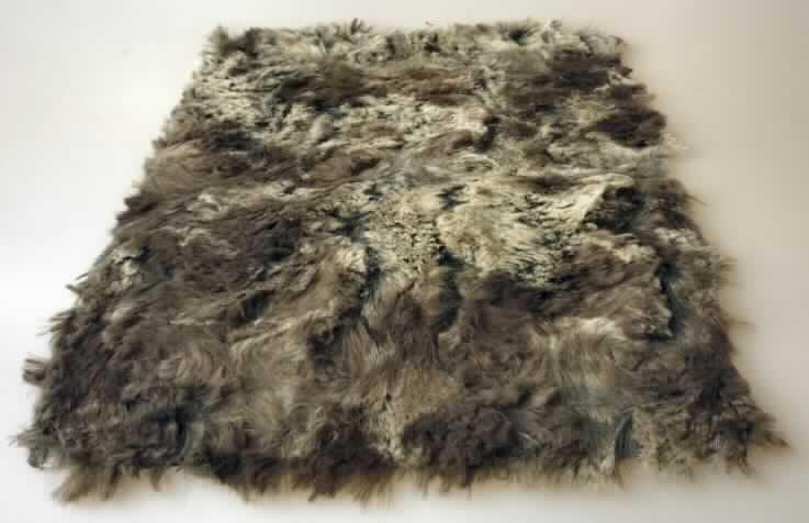 Vải có tạo vòng lông từ xơ staple 100% polyeste, có chiều rộng không nhỏ hơn 63,5 mm nhưng không quá 76,2 mm, phù hợp để sử dụng trong sản xuất con lăn sơn